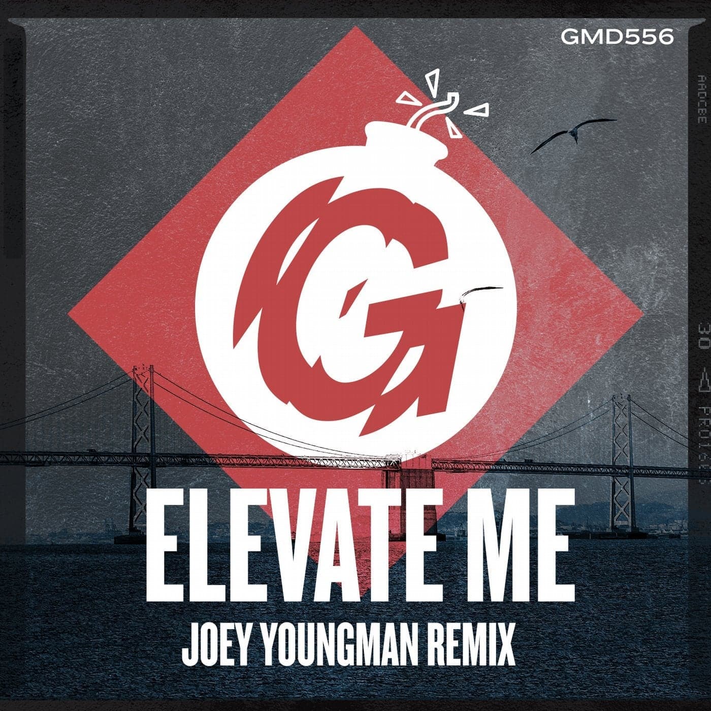 Bobby D'Ambrosio — Elevate Me (Joey Youngman Remix)