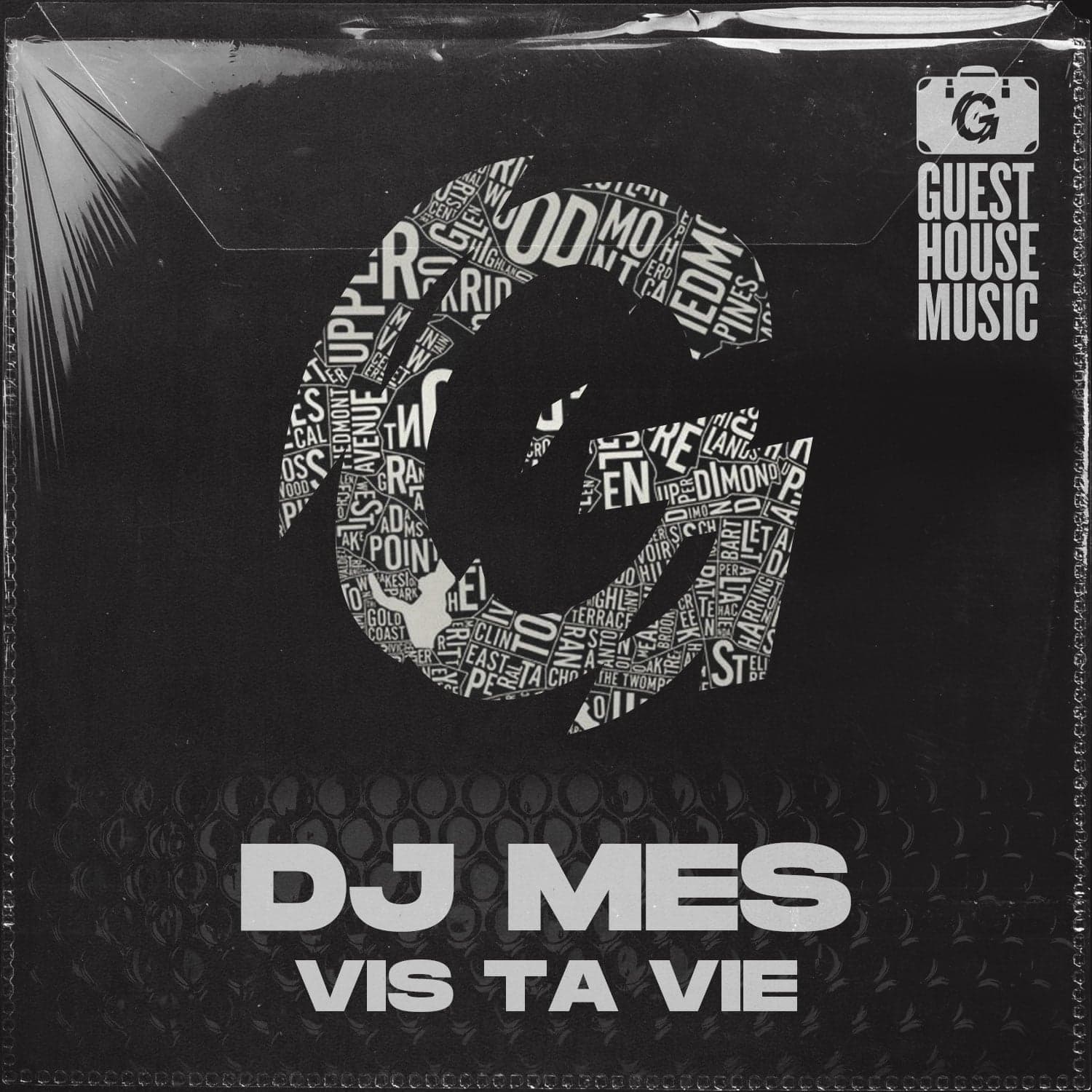 DJ Mes — Vis Ta Vie