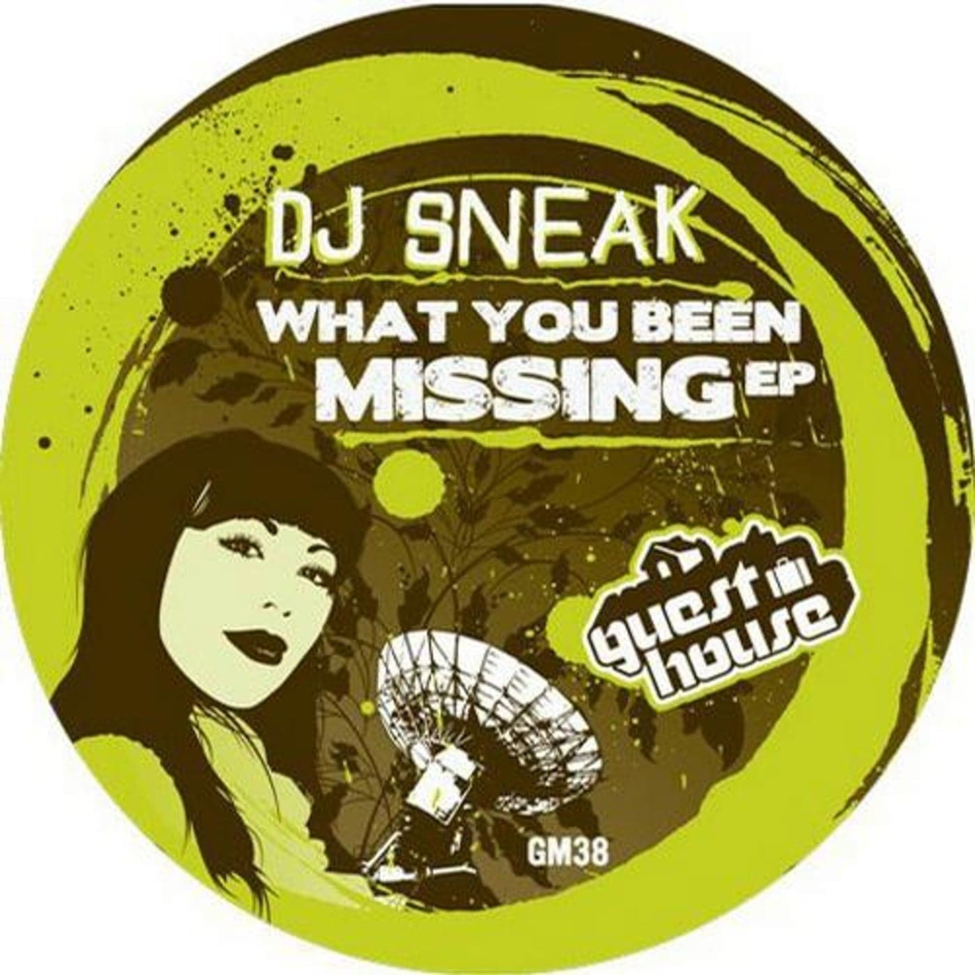 DJ Sneak — What You Been Missing